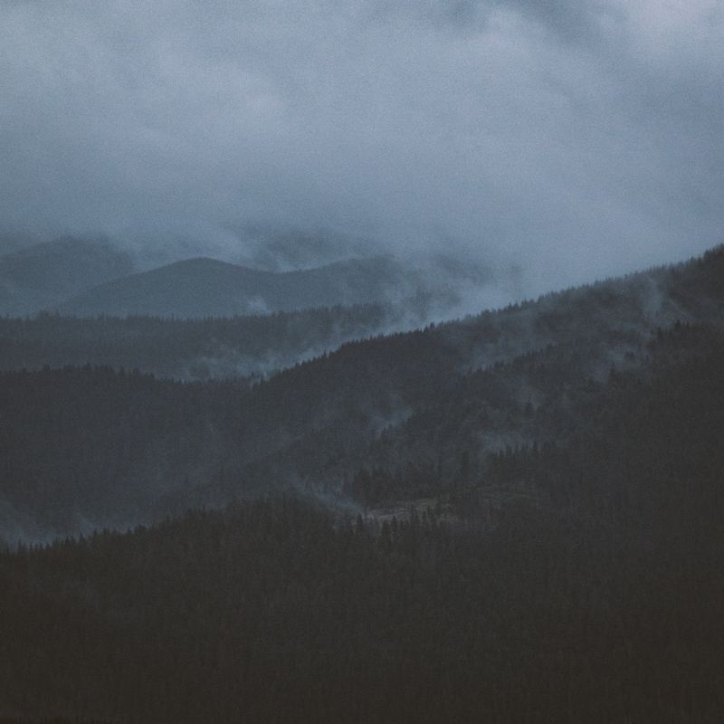 Project cover art: mist over forested ridges — photo by Andreas Ebner on Pexels