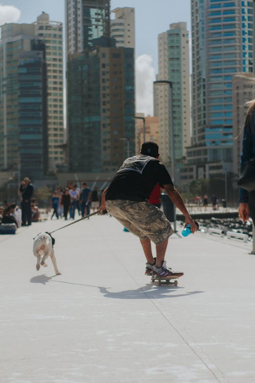 A Person on a Skateboard with a Dog 