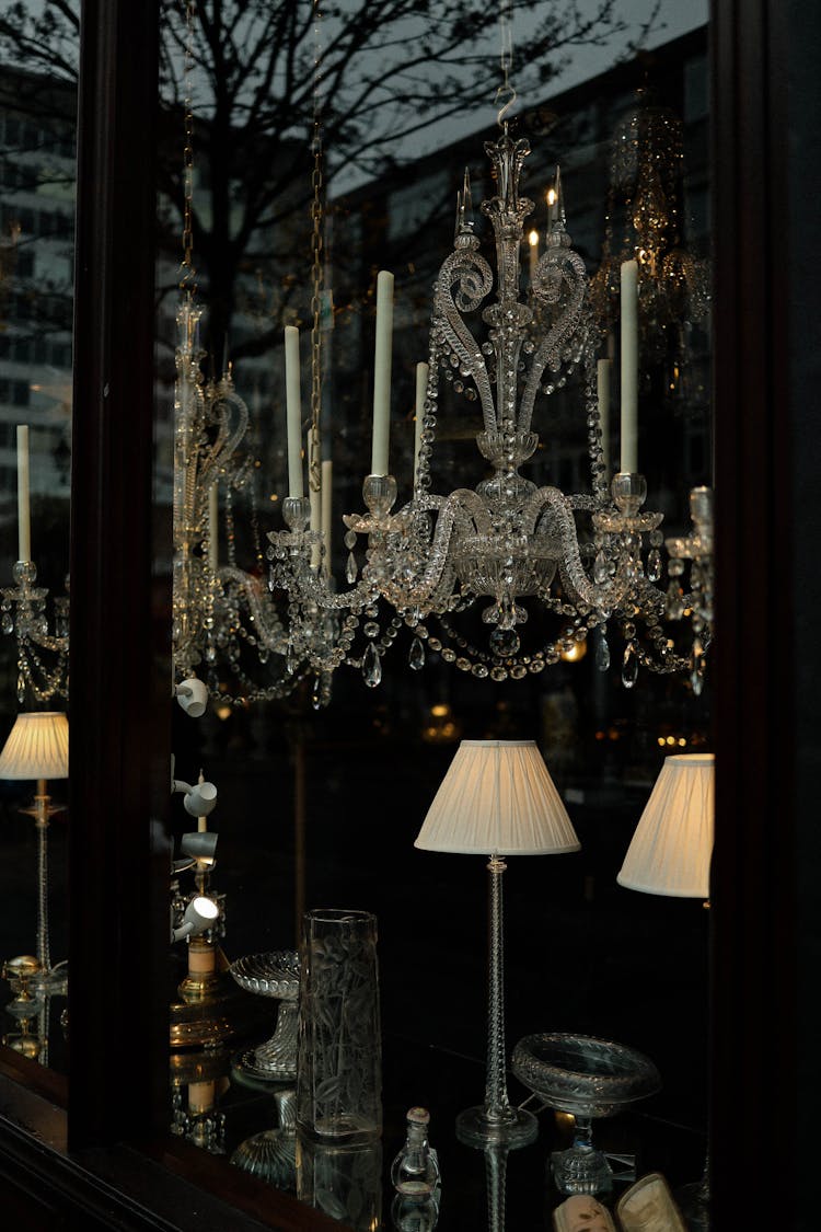 Elegant Lamps On Shop Display