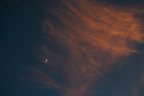Δωρεάν στοκ φωτογραφιών με ημισέληνος, ουρανός, σελήνη Φωτογραφία από στοκ φωτογραφιών