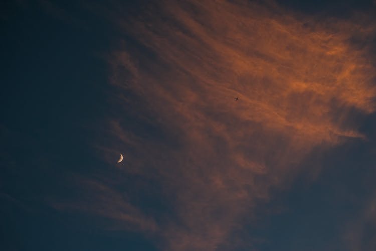 Crescent Moon In The Sky 