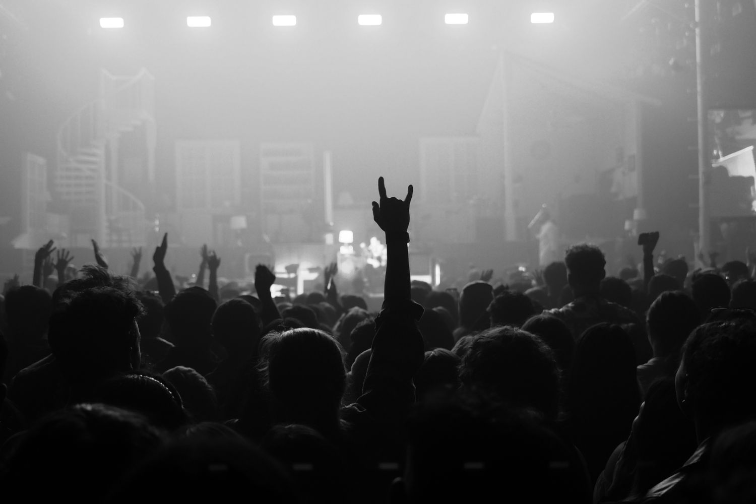 Concertgoers Photos, Download The BEST Free Concertgoers Stock Photos ...