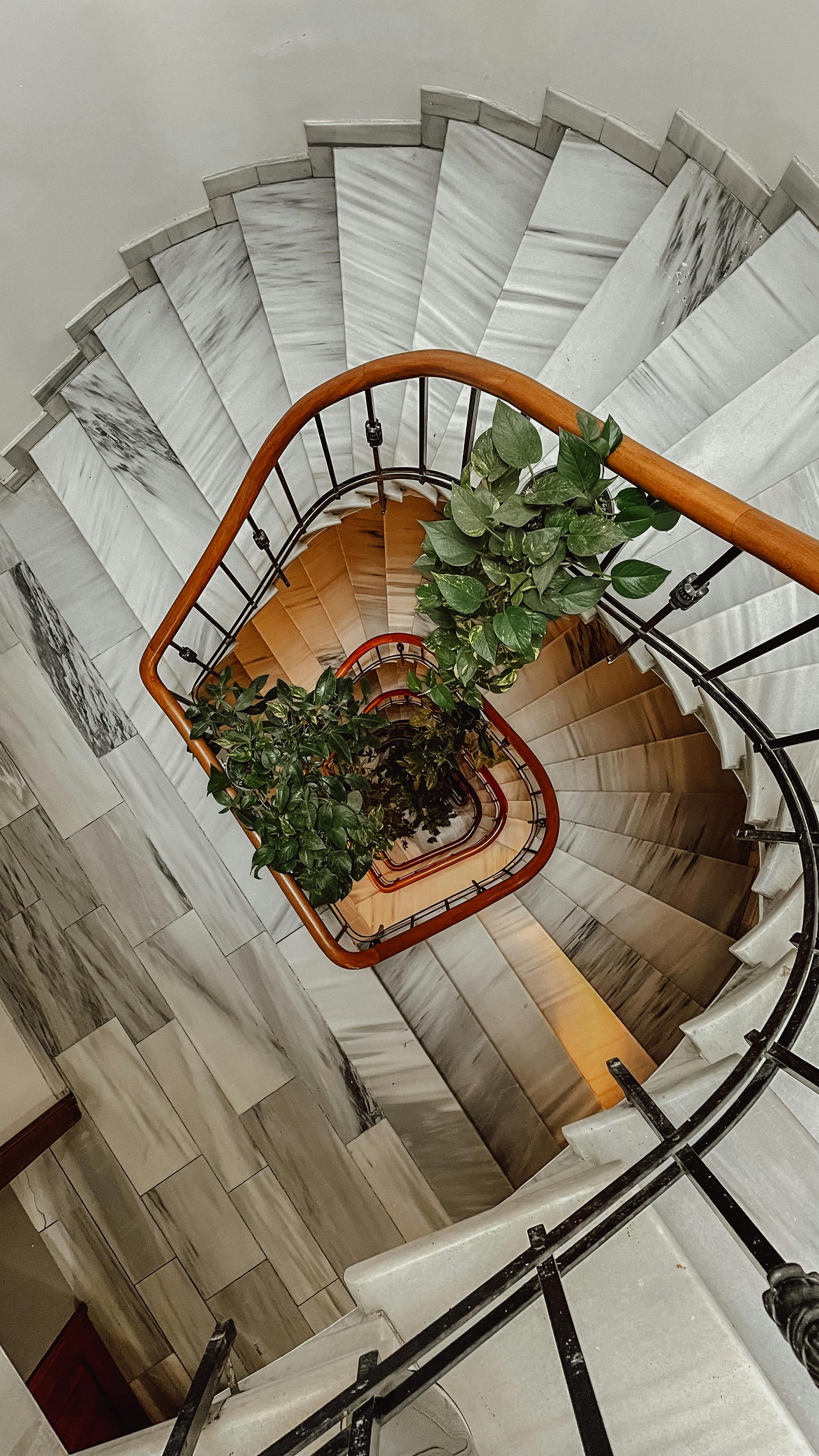 Brown Spiral Staircase · Free Stock Photo