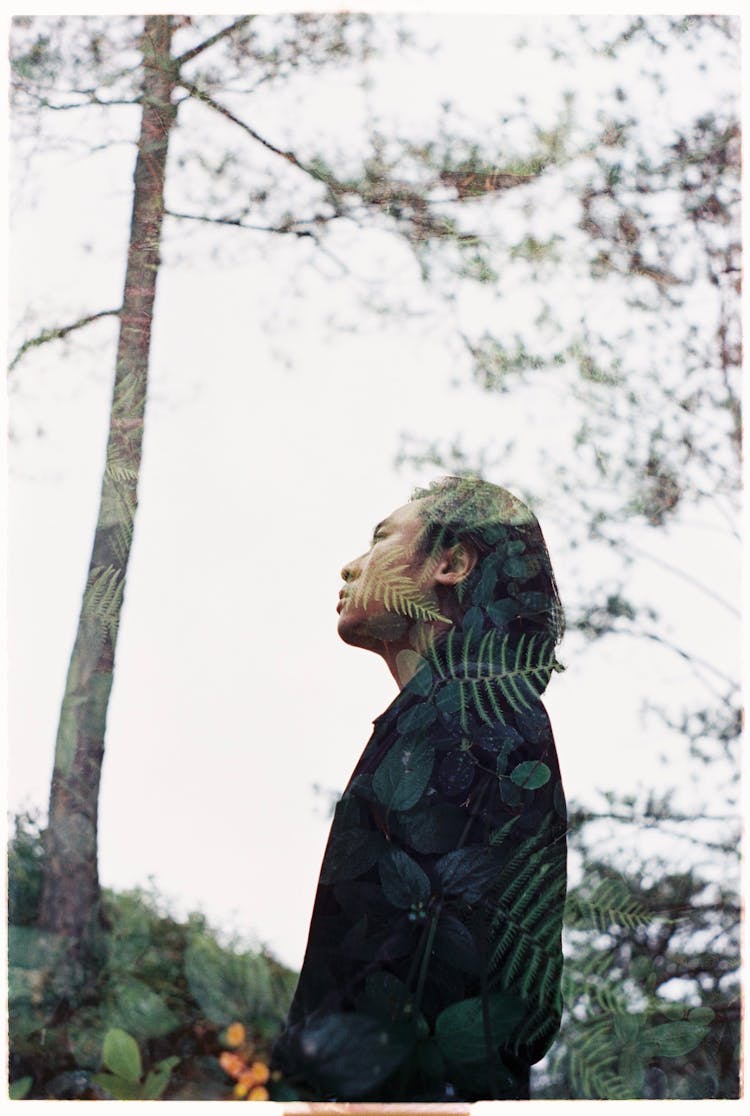 Photo Overlay Of A Man Looking At The Sky And Tropical Trees