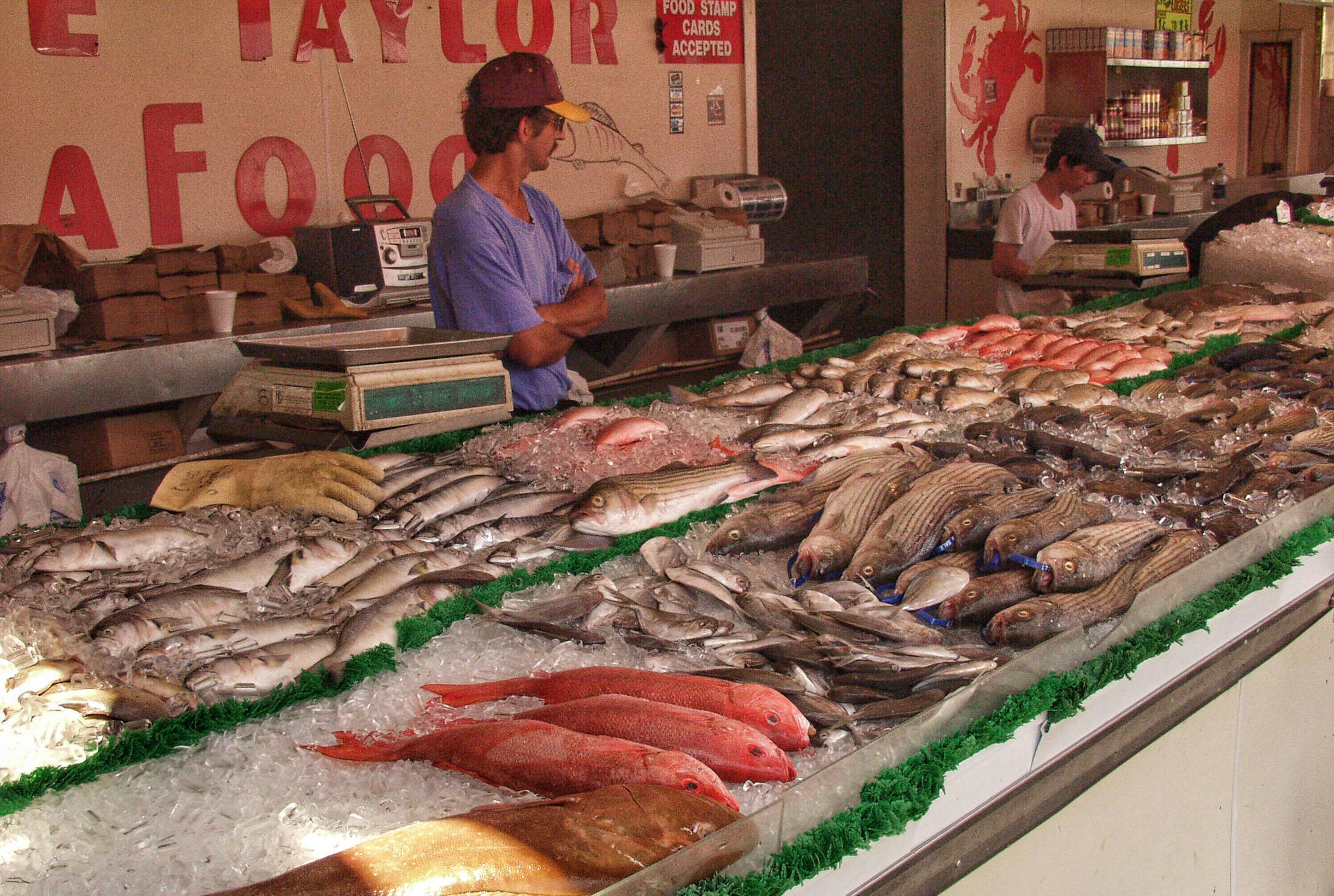 fresh fishes in fish market