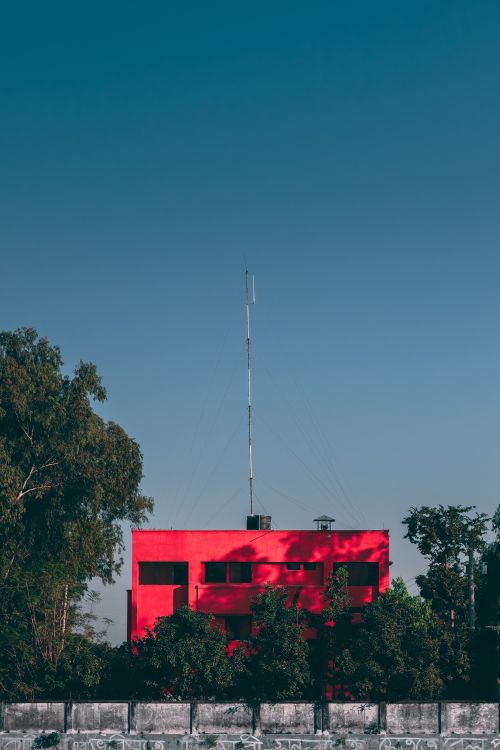 Building Among Reeds Red Building Among Trees · Free Stock Photo