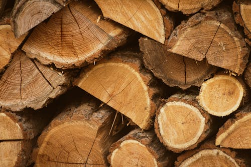A Close-Up Shot of A Pile of Wood
