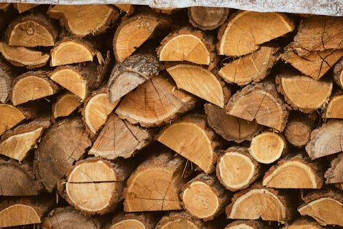 A Close-Up Shot of A Pile of Wood