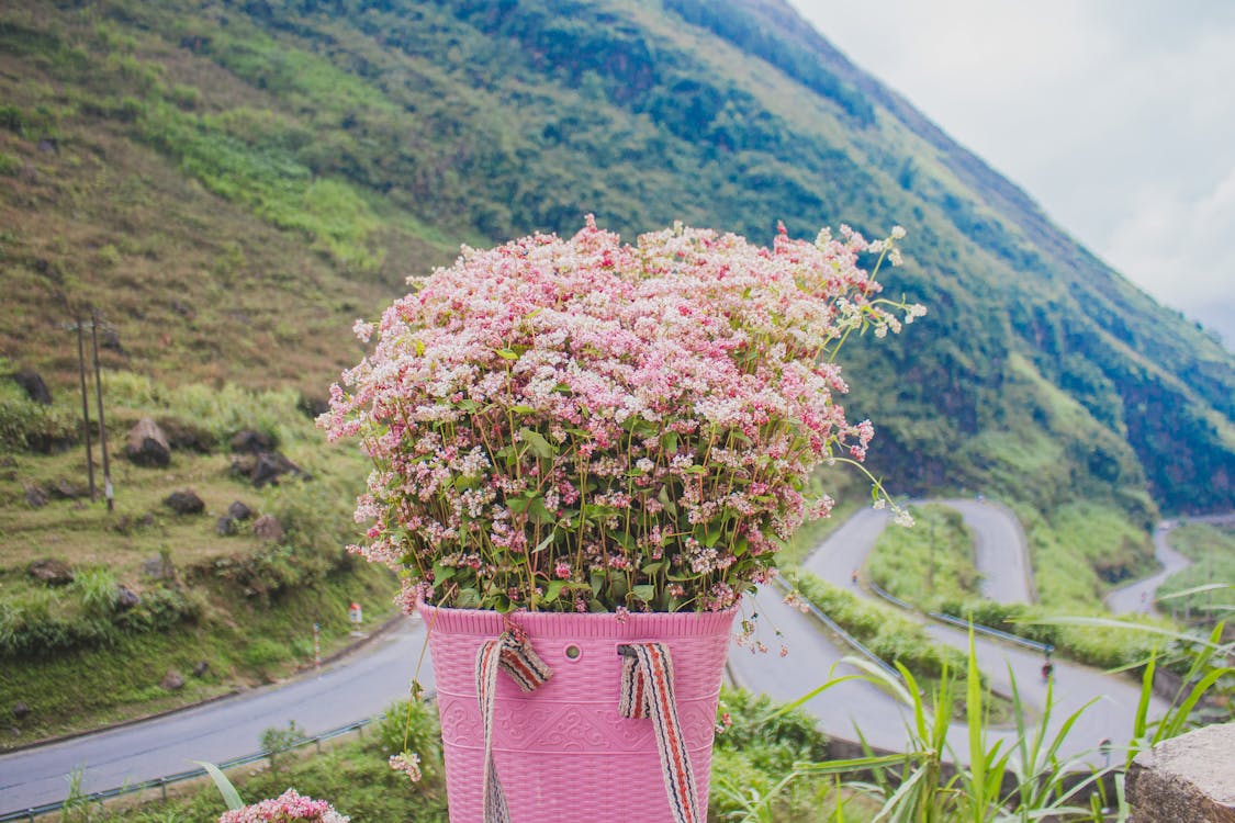 Basket with Wildflowers in Mountains Landscape