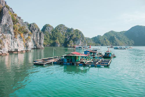 Seacoast with Cabins on Water 