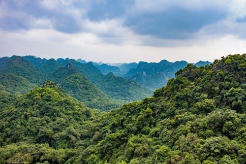 An Aerial Shot of Green Mountains