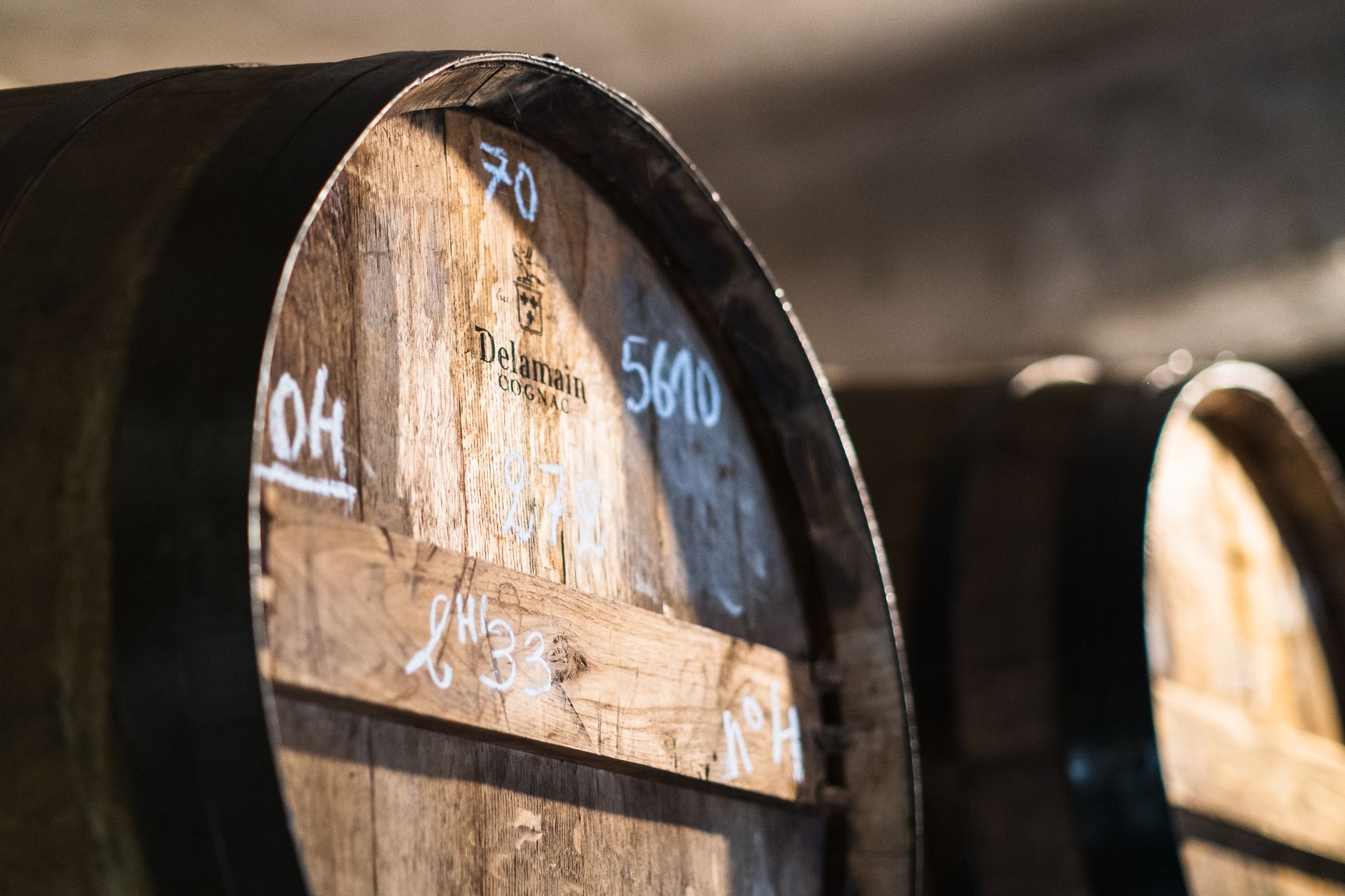 Oak barrels aging in a French cellar