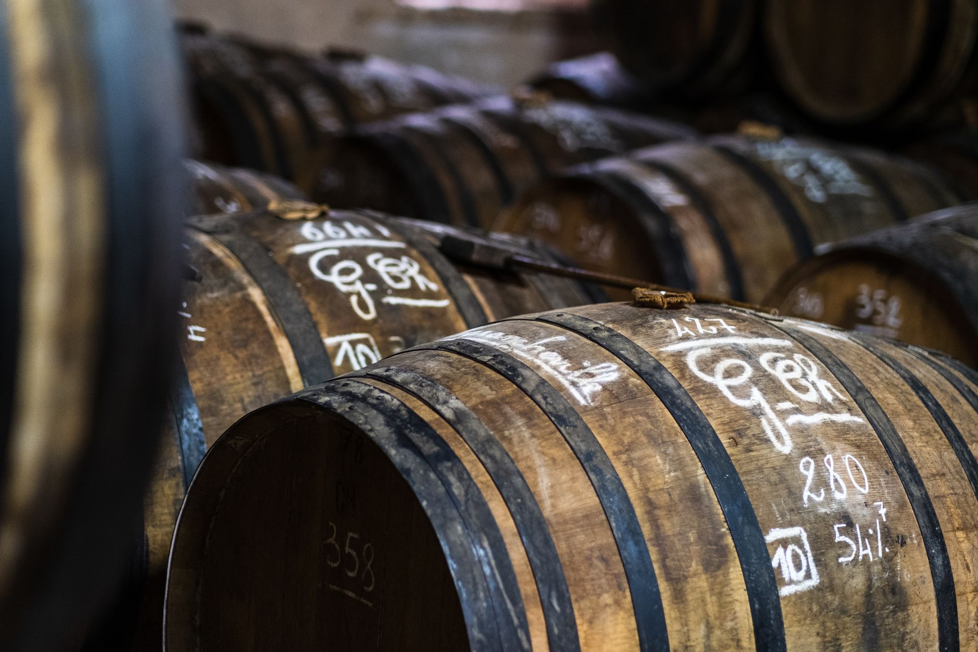 A Close-Up Shot of Barrels of Wine