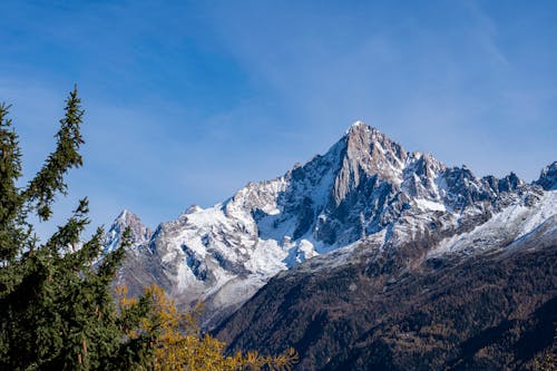 Paysage De Montagnes Enneigées Et D'une Forêt