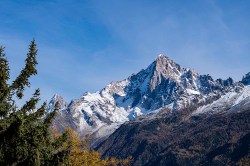 Free Stunning snowcapped mountains in Chamonix, France with lush trees in the foreground. Stock Photo