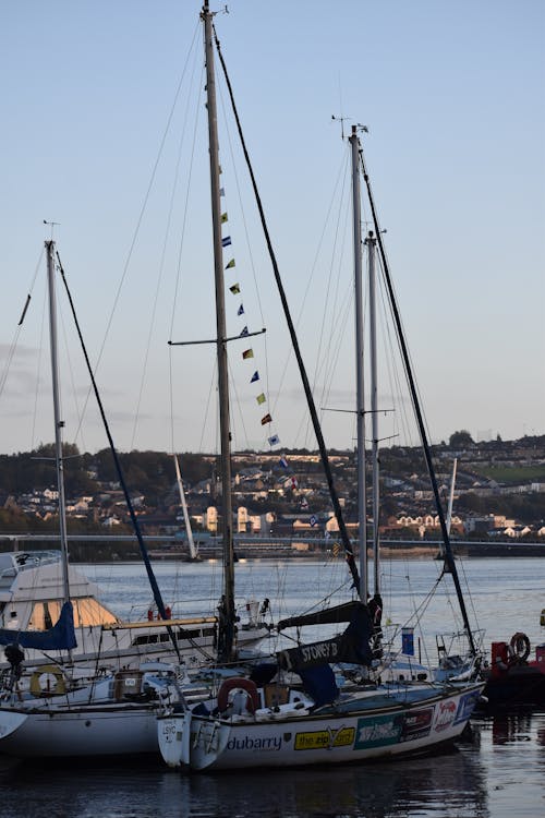 Photos gratuites de baie, bateaux, bord de l'eau