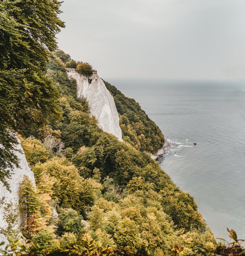 Sinh Học Hệ Sinh Thái Đất