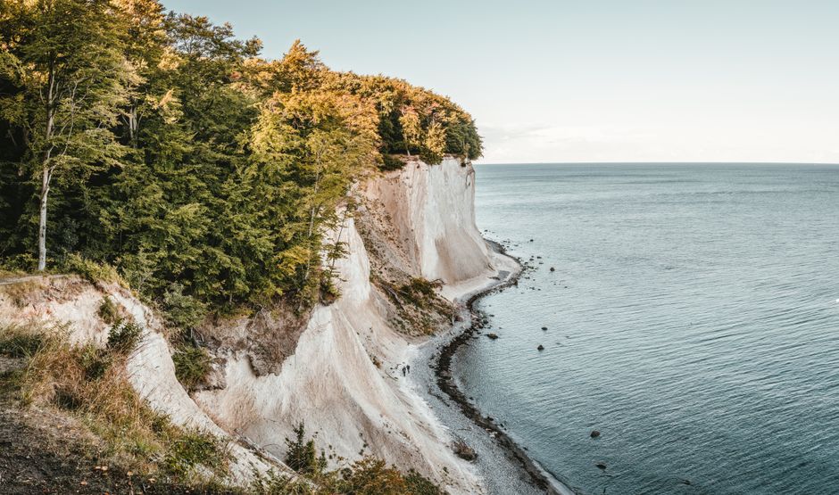 A breathtaking view of cliffs and ocean with lush greenery, captured in daylight.