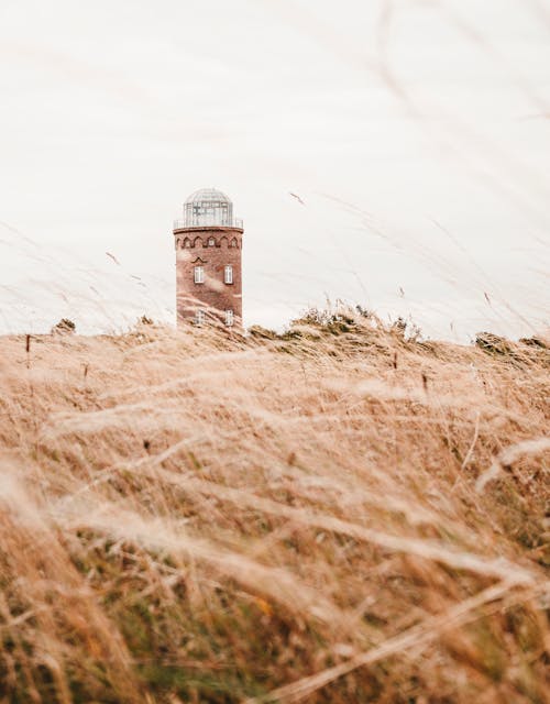 Free Shallow Focus Photography of Lighthouse Stock Photo