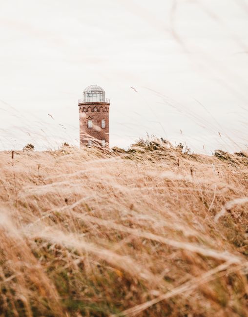 A picturesque lighthouse tower set against a beautiful rural landscape with tall grass.