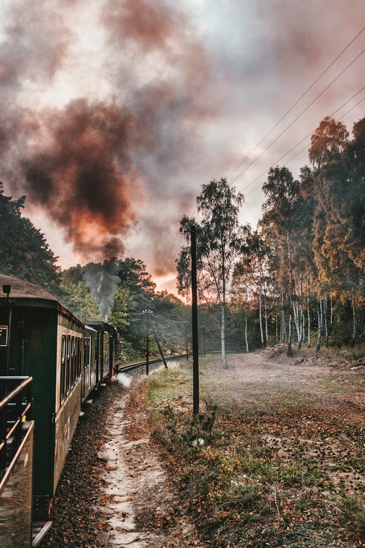 Train At The Railway