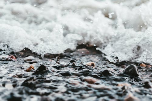 Selective Focus Photo of Body of Water