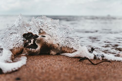 Free Detailed close-up of a seashell surrounded by seafoam on a sandy beach with gentle ocean waves. Stock Photo
