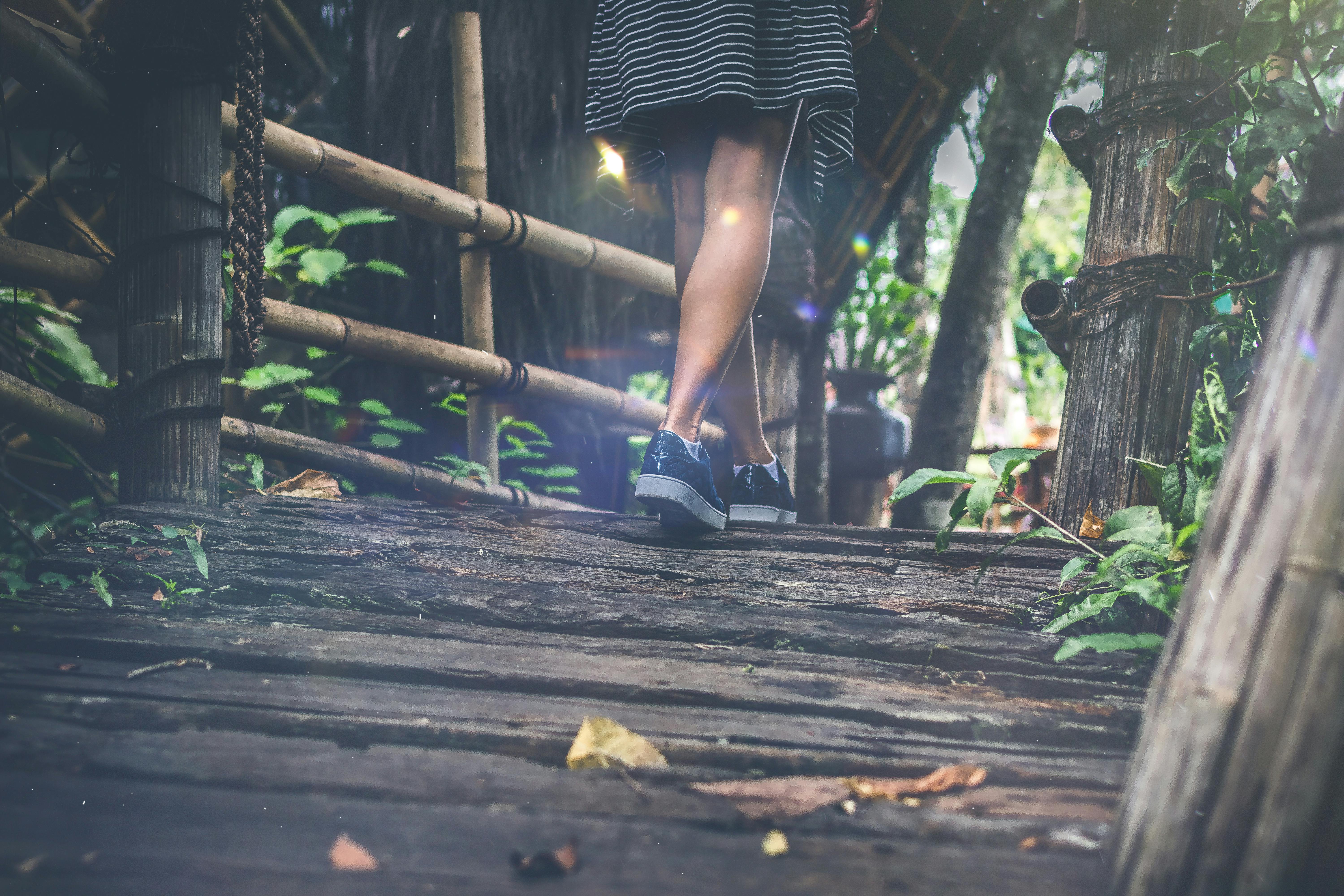 Two People Walking in the Forest · Free Stock Photo - 6000 x 4000 jpeg 5373kB