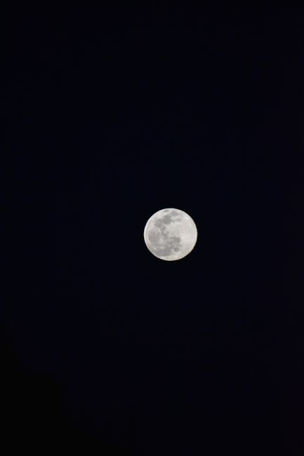 Fotomural Una impresionante luna llena brillando contra un cielo nocturno oscuro y claro, con amplio espacio para texto.