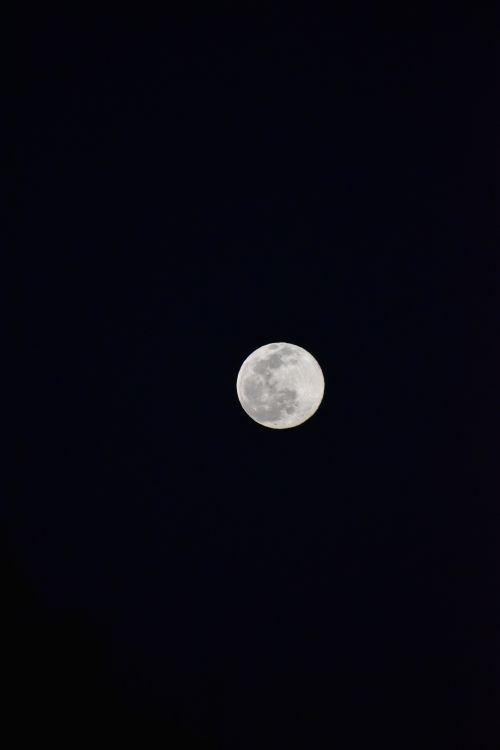 Free A stunning full moon glowing against a dark, clear night sky with ample copy space. Stock Photo