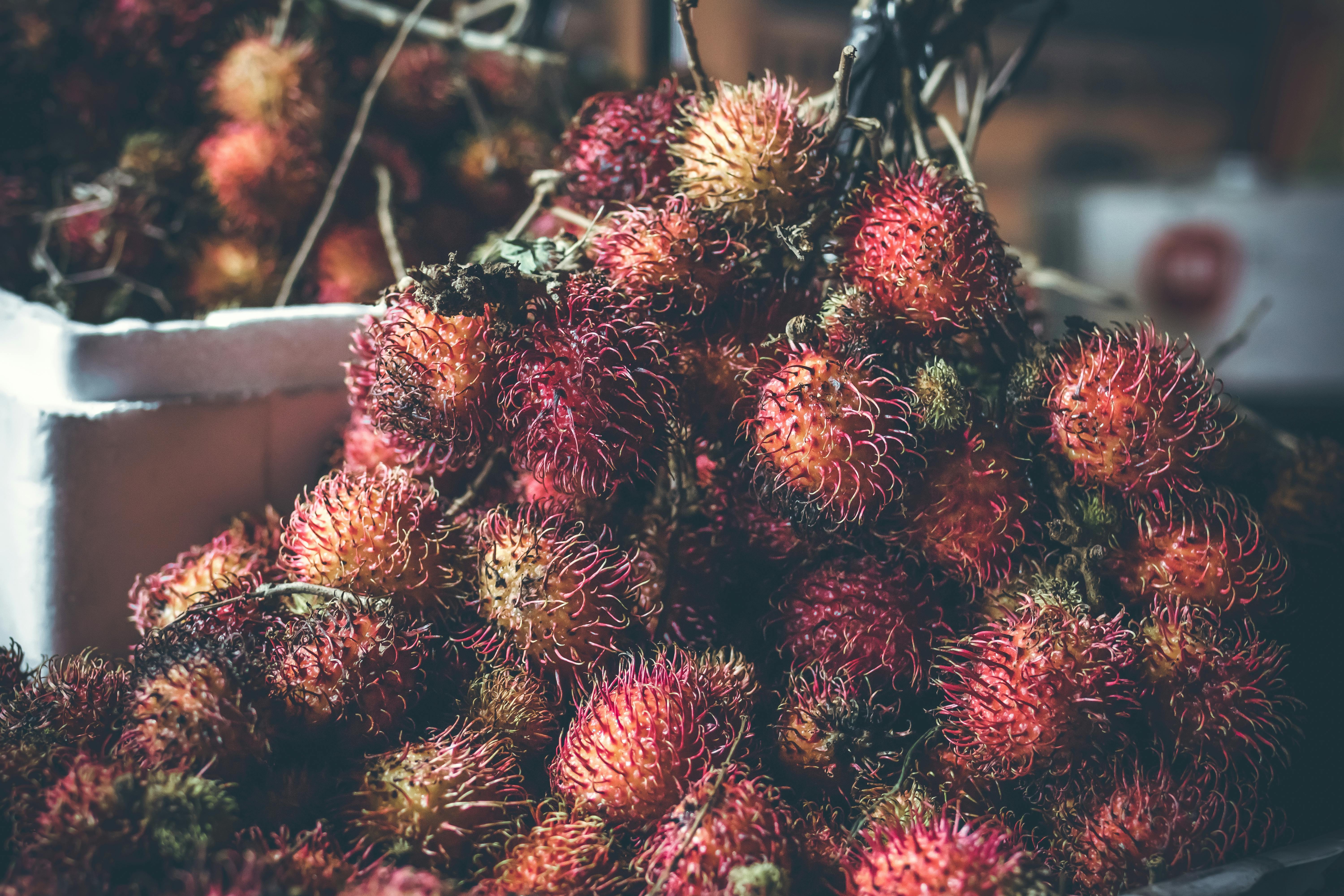 Engaging Rambutan Photos Pexels · Free Stock Photos