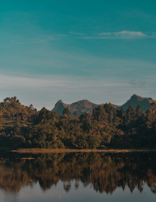 Serene lake reflecting lush forest and distant mountains under a clear sky.