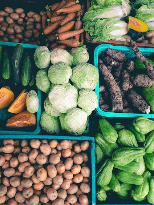 Free Varieties of Vegetable in Baskets Stock Photo