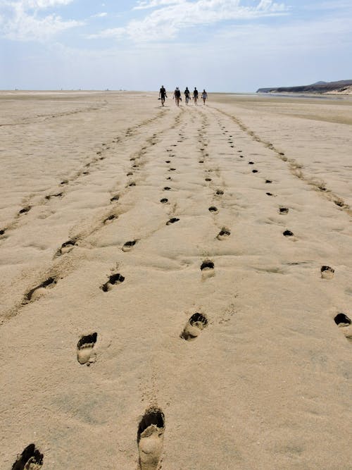 Footprints on Brown Sand
