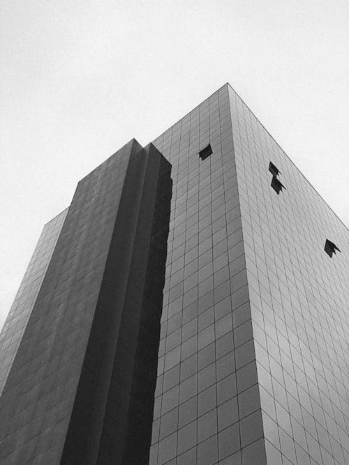 Glass Building in a City in Black and White 