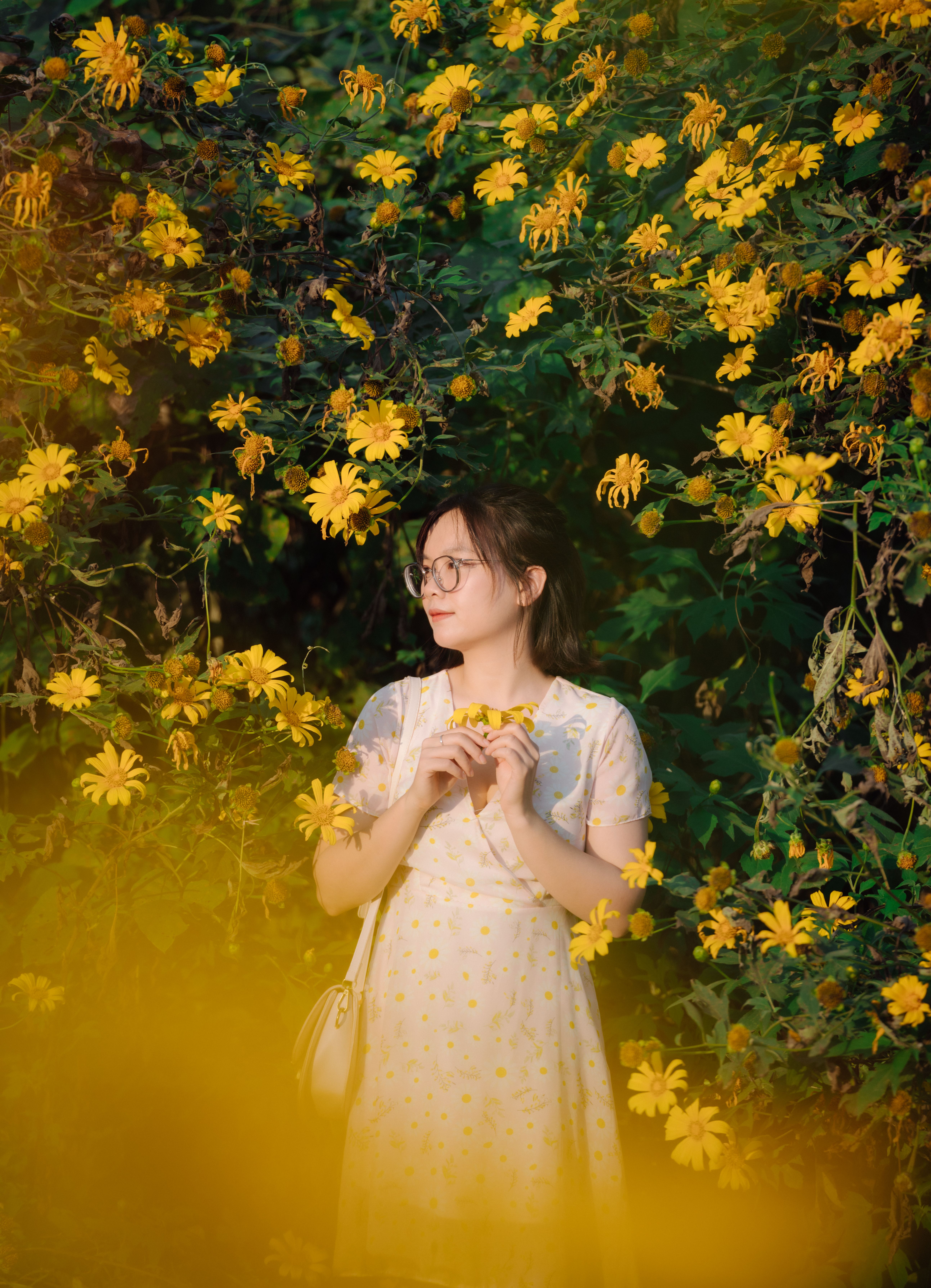 Portrait of a Woman with Flowers · Free Stock Photo