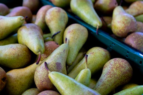 Close Up Photo of Pears