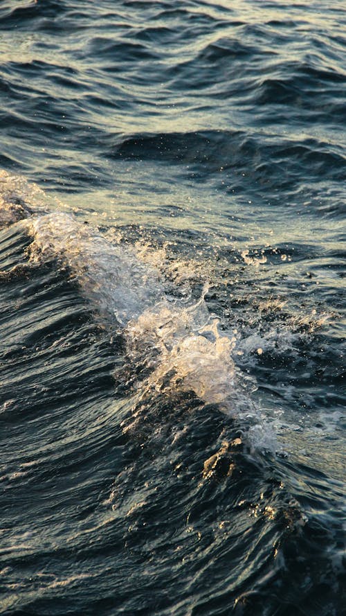 Waves on the Sea Surface 