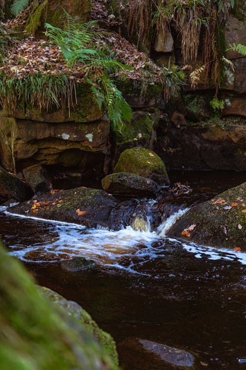 Photos gratuites de cailloux, eau qui coule, flot