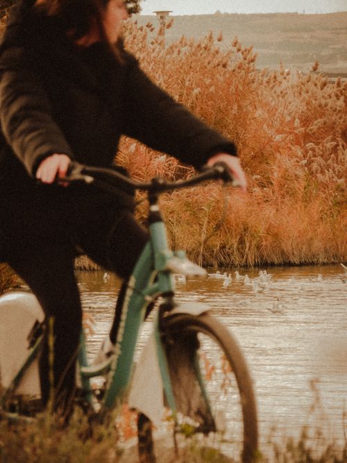 Free Blurred woman cycling next to a serene waterway in an autumn setting with tall reeds. Stock Photo
