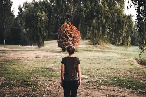 Free Woman Standing in Middle of Forest Stock Photo