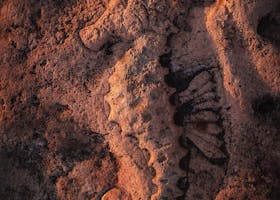 Fossile Brennstoffe durch Fossilen