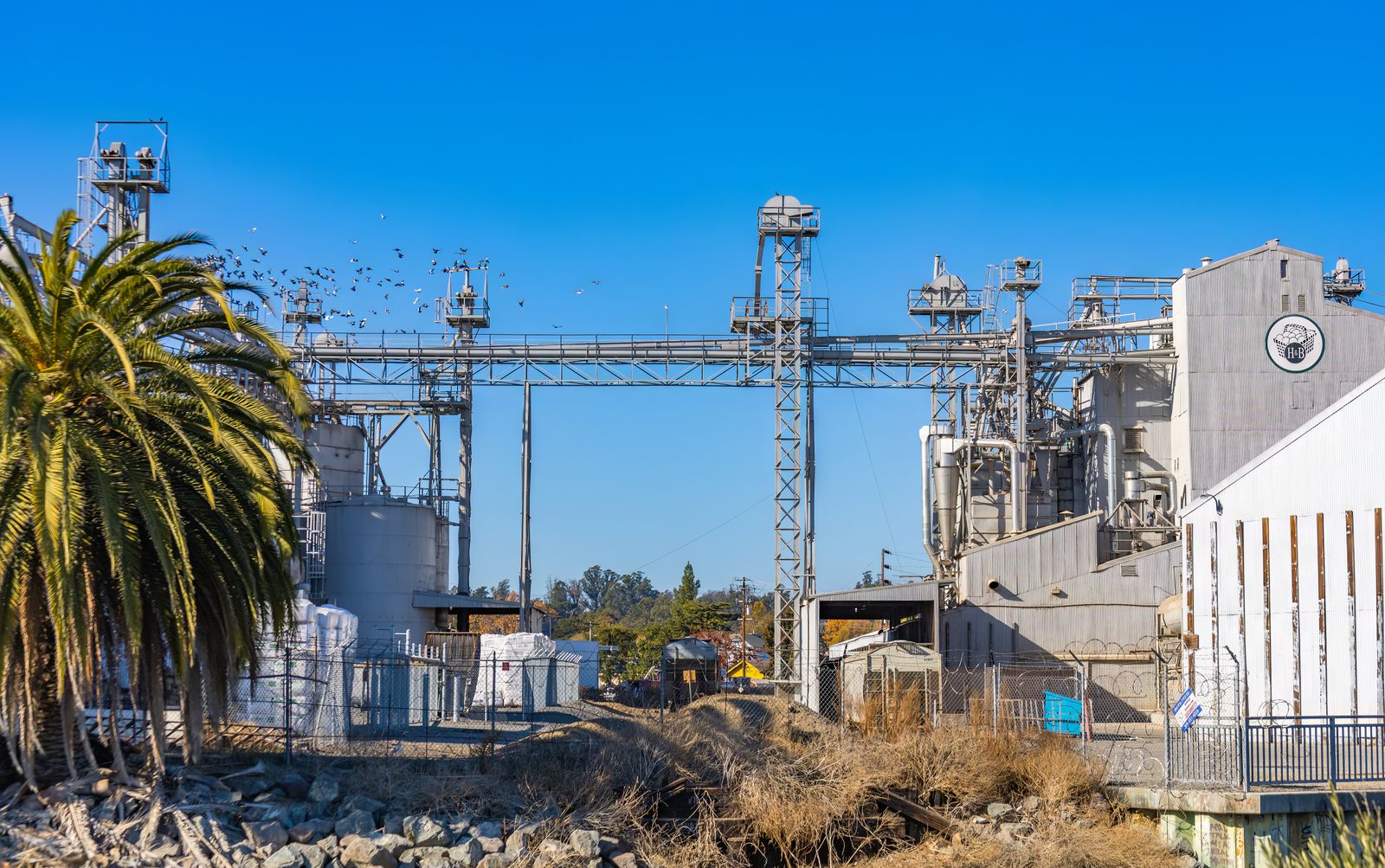 Industrial Facility Build