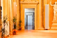 酒店大堂豪华典雅，设有古典柱和绿植，氛围宁静