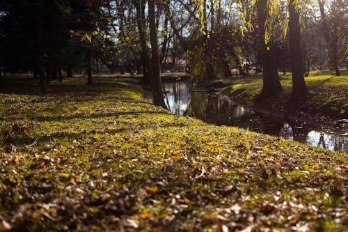 Canal and Lawns in Park