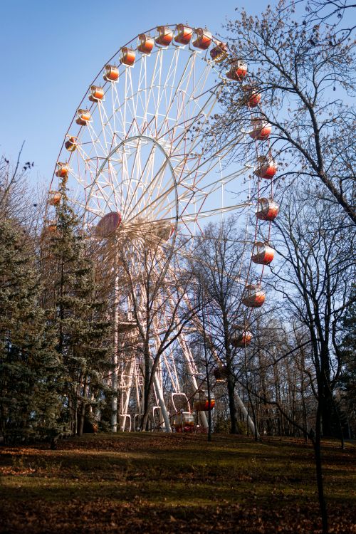 Free Large Ferris wheel amidst bare trees in a Minsk park under blue skies. Stock Photo