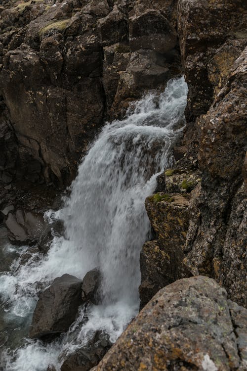 Δωρεάν στοκ φωτογραφιών με rock, βουνό, βρεγμένος