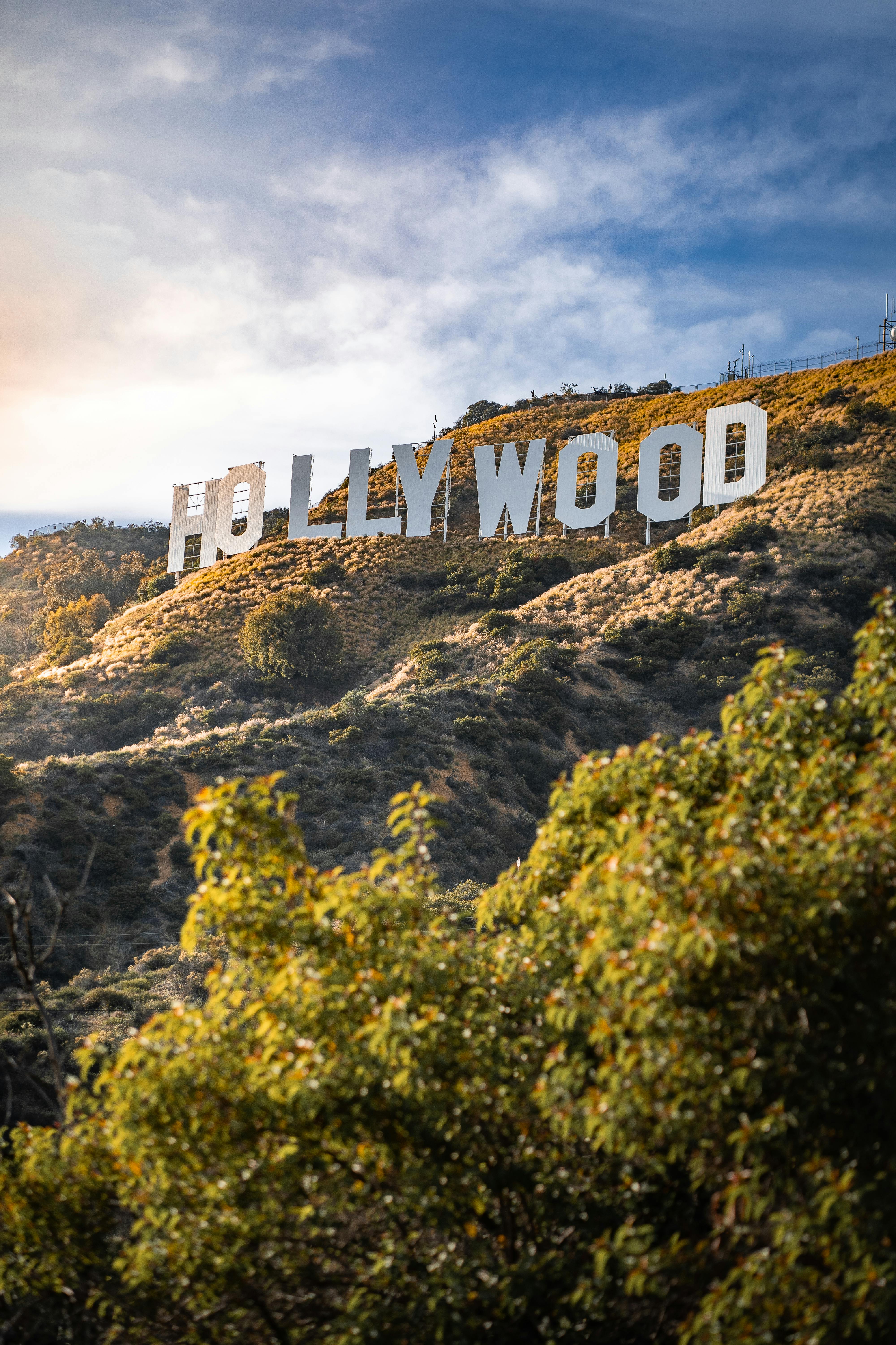 Los Angeles Hollywood Sign HD wallpaper  Pxfuel
