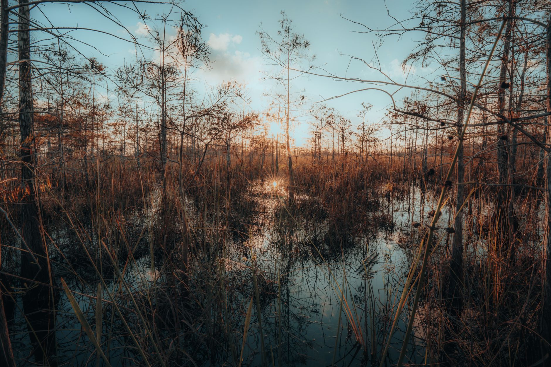 Popular sights in Everglades National Park Landmarks in Everglades National Park