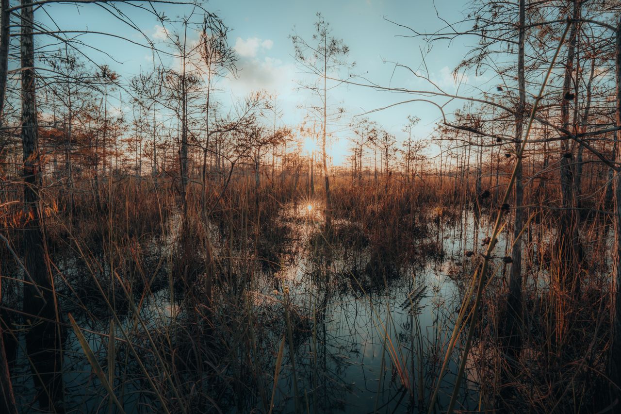 Everglades National Park (สหรัฐอเมริกา)